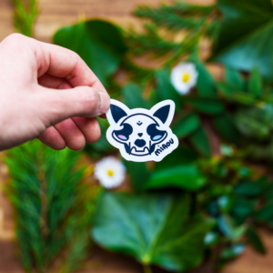 Stickers skull cat crâne de chat