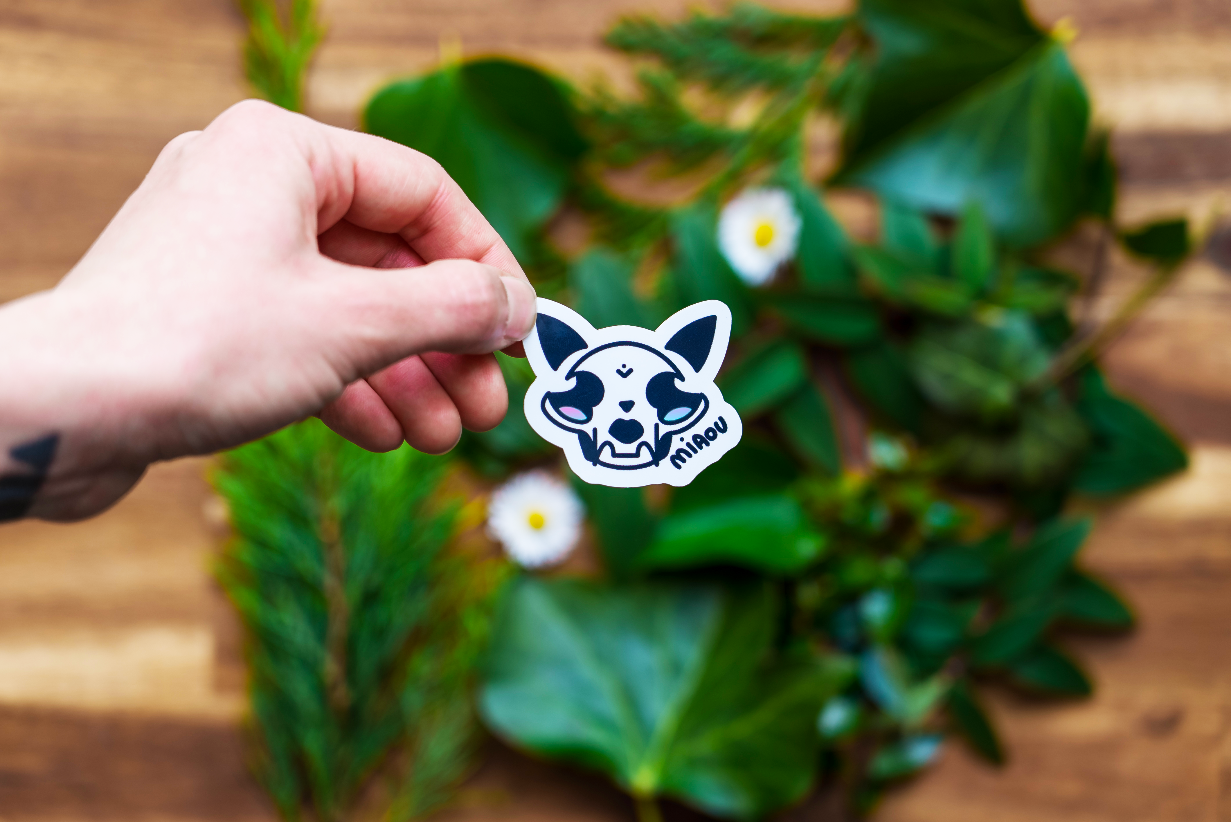 Stickers skull cat crâne de chat
